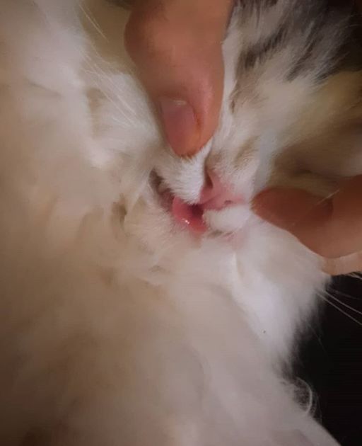 /사진=윤균상 인스타그램