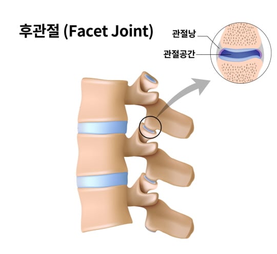 /사진제공=에이스병원