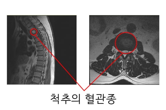 /사진제공=안산에이스병원