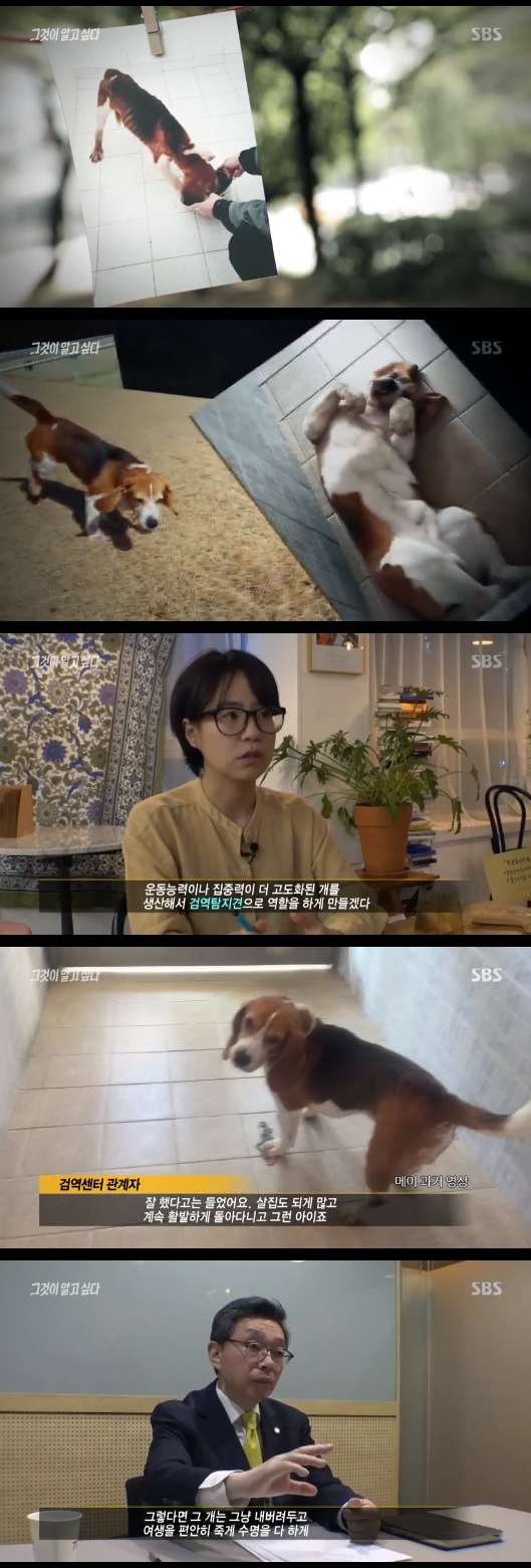 /사진=SBS 시사교양 프로그램 '그것이 알고싶다' 방송화면 캡처