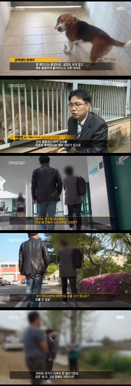/사진=SBS 시사교양 프로그램 '그것이 알고싶다' 방송화면 캡처