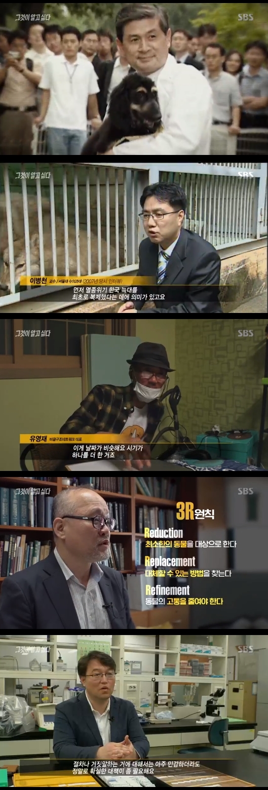 /사진=SBS 시사교양 프로그램 '그것이 알고싶다' 방송화면 캡처