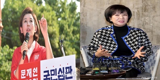 나경원 자유한국당 원내대표와 손혜원 의원./사진=뉴시스