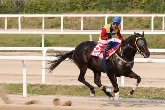 코리안더비 우승한 문세영과 원더풀플라이/사진제공=한국마사회