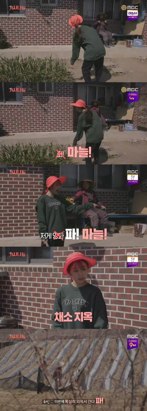 /사진=MBC '가시나들' 방송화면 캡처