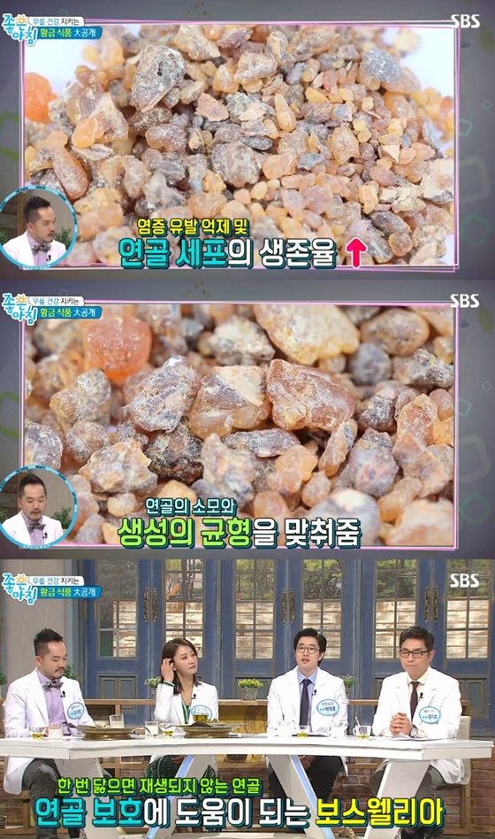 보스웰리아가 많은 관심을 받고 있다./사진=SBS '좋은 아침' 방송화면 캡처