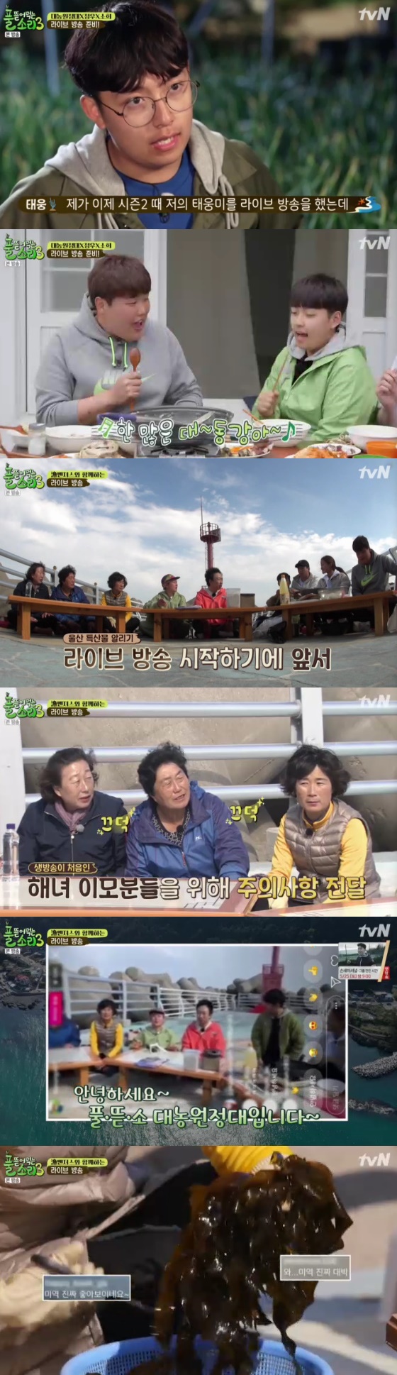 /사진= '풀 뜯어먹는 소리 3-대농원정대' 방송화면