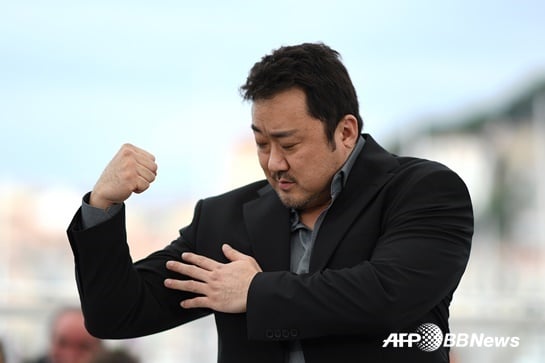 배우 마동석 / 사진=AFPBBNews뉴스1