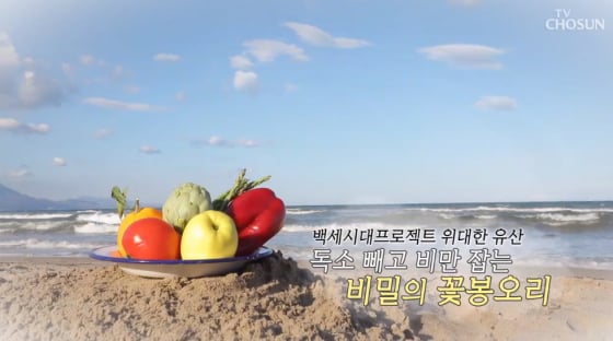 /사진=TV조선 '위대한 유산' 방송화면