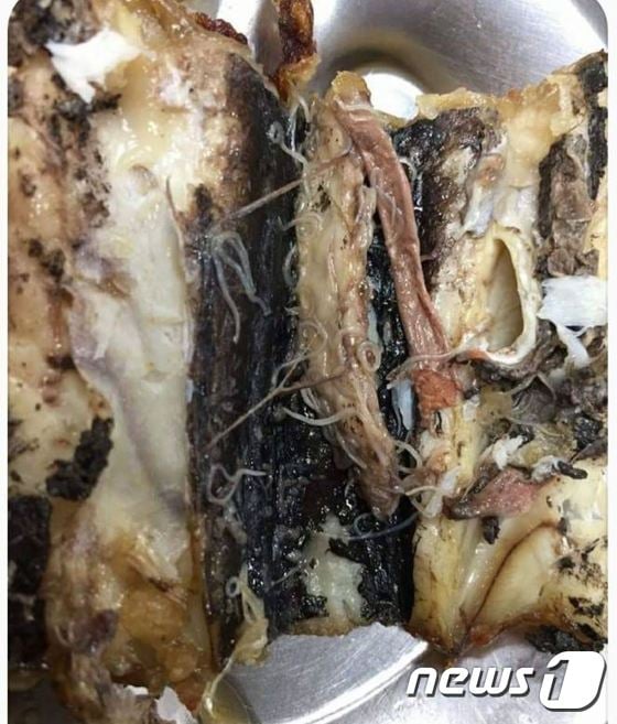인천의 한 고등학교에서 고래회충이 발견됐다./사진=뉴스1
