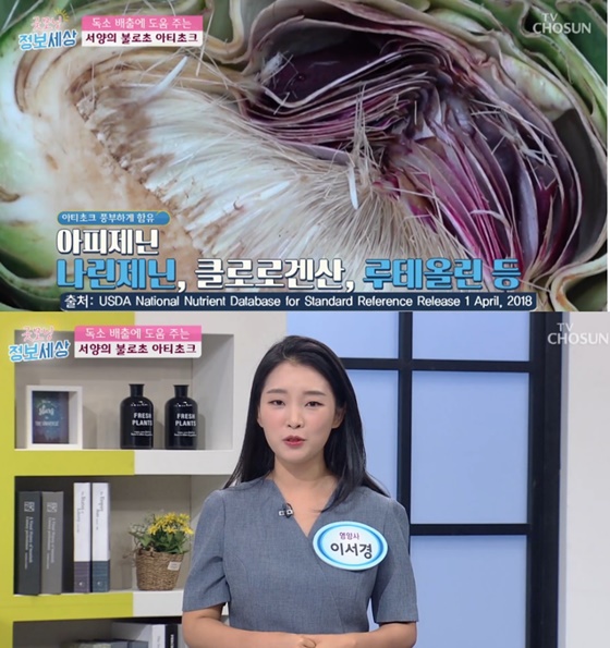 아티초크의 효능이 설명됐다./사진=TV조선 '굿모닝 정보세상' 캡처