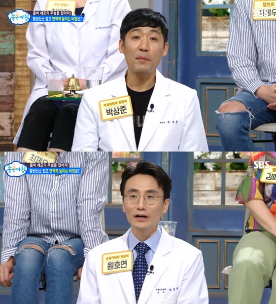 새싹보리가 많은 관심을 받고 있다./사진=SBS '좋은 아침' 방송화면 캡처