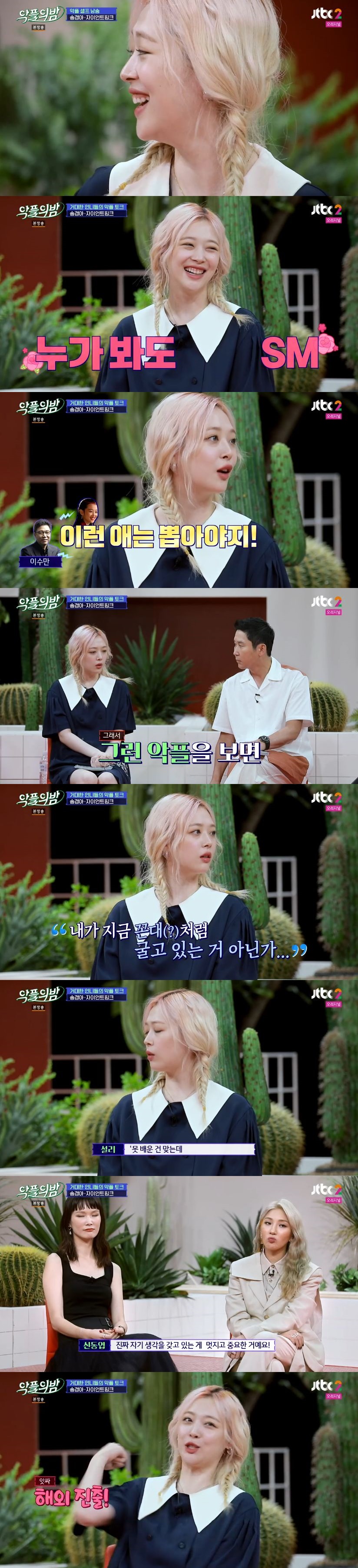 /사진=JTBC2 예능 프로그램 '악플의 밤' 캡처