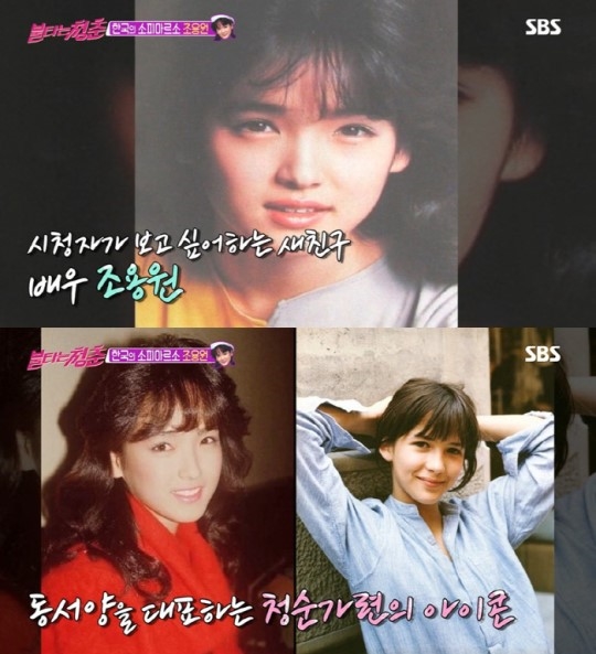 조용원./사진=SBS '불타는 청춘' 방송화면 캡처