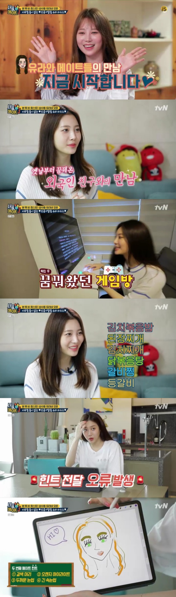 /사진=tvN 예능 프로그램 '서울메이트3' 방송 캡쳐