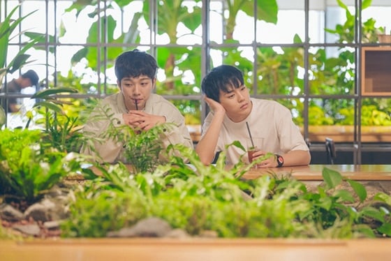 /사진제공=하이업 엔터테인먼트