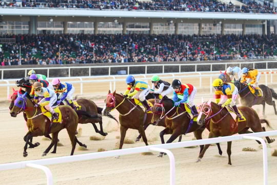 /사진제공=한국마사회