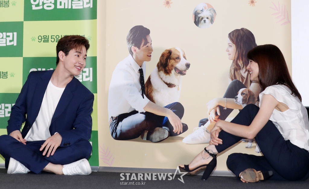 사진