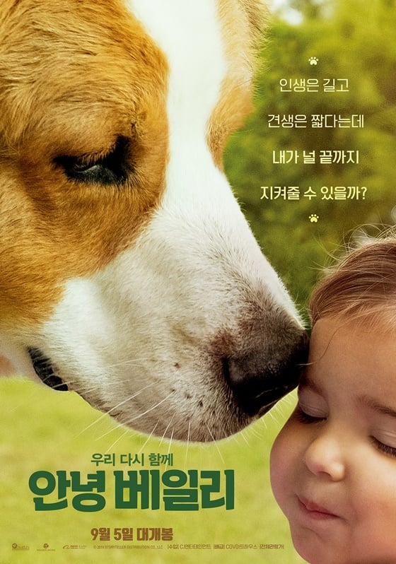 /사진=영화 '안녕 베일리' 포스터