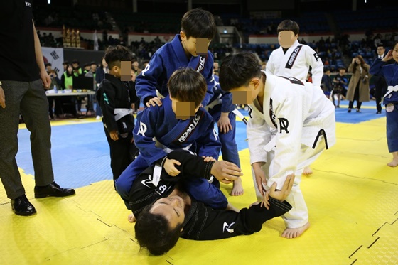 방송인 김보성(밑). /사진=로드FC