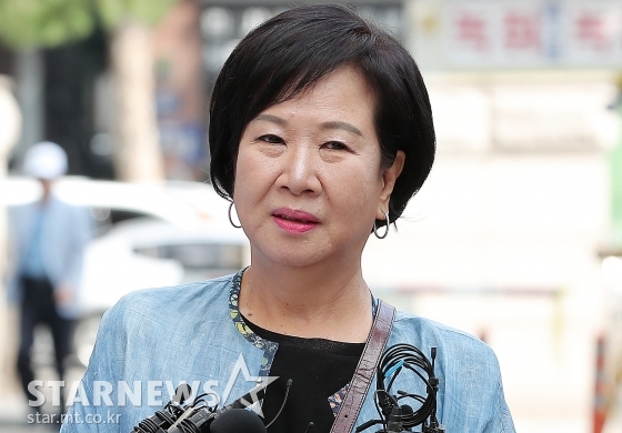 손혜원 의원 /사진=김창현 기자