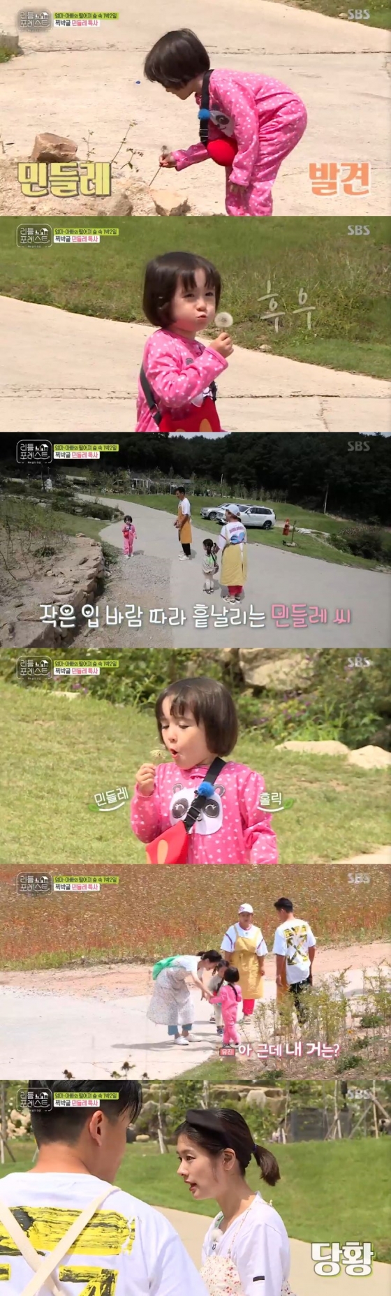 /사진=SBS 예능 프로그램 '리틀 포레스트' 캡처