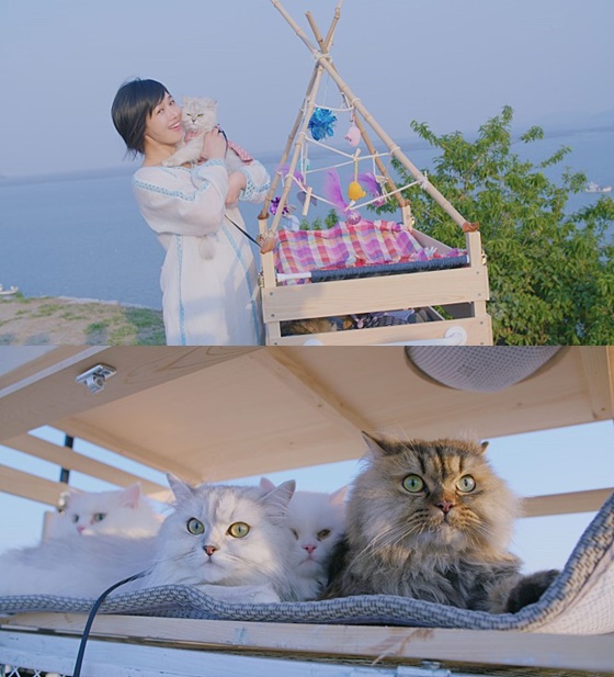 /사진=영화 '오늘도 위위' 스틸컷