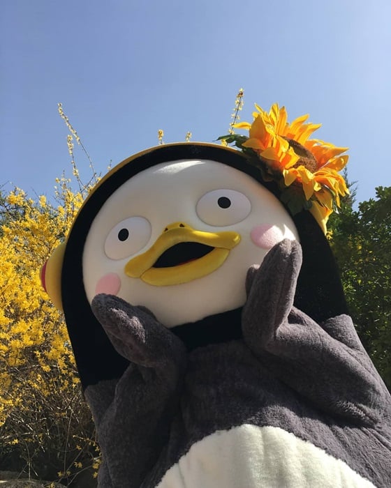 /사진=펭수 인스타그램