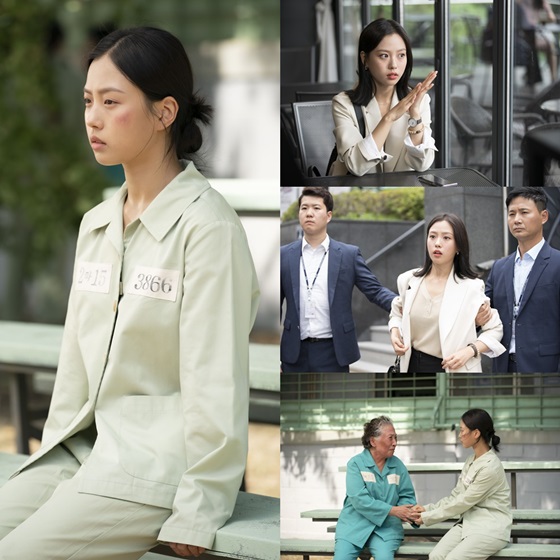 /사진제공=SBS