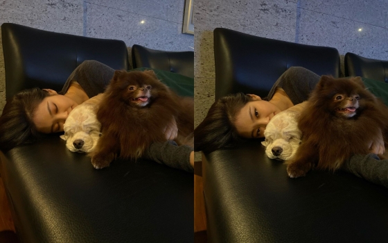 /사진=제니 인스타그램