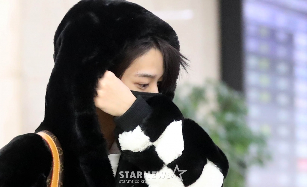 사진
