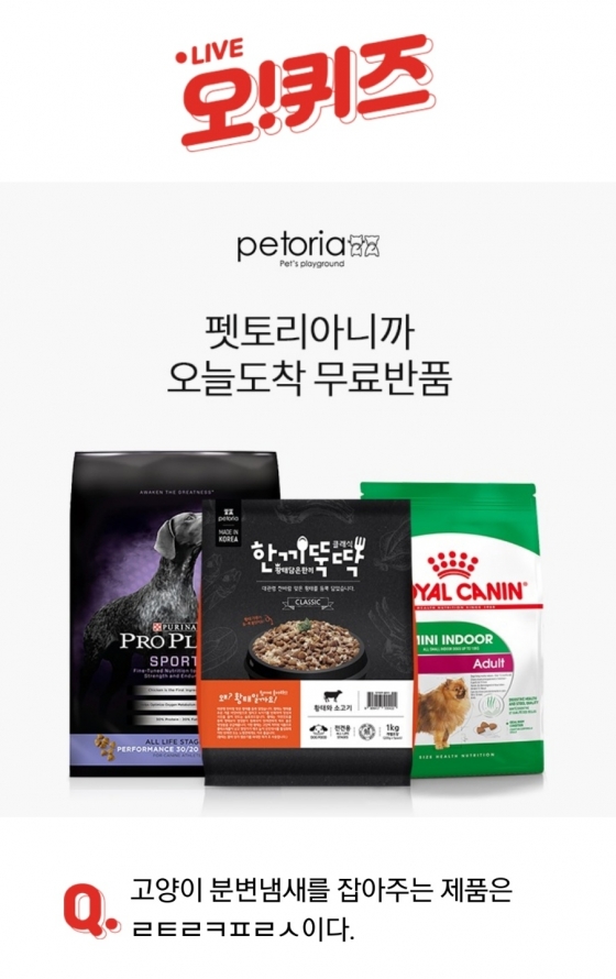/사진=오퀴즈 애플리케이션