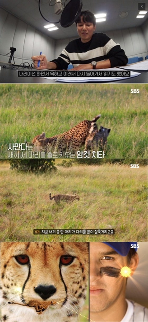 /사진제공=SBS