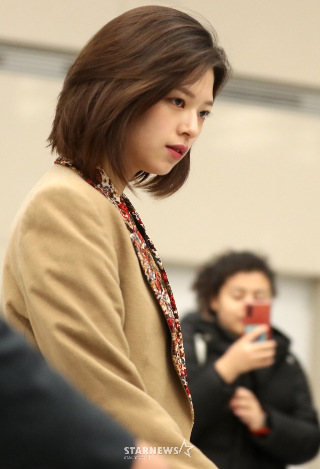 사진