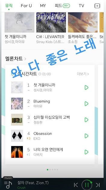 /사진=아이유(이지은) 인스타그램