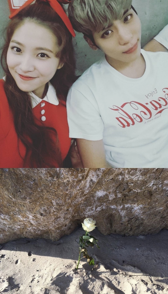 사진