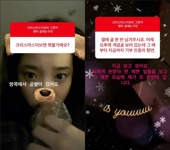 /사진=아이유 인스타그램 스토리