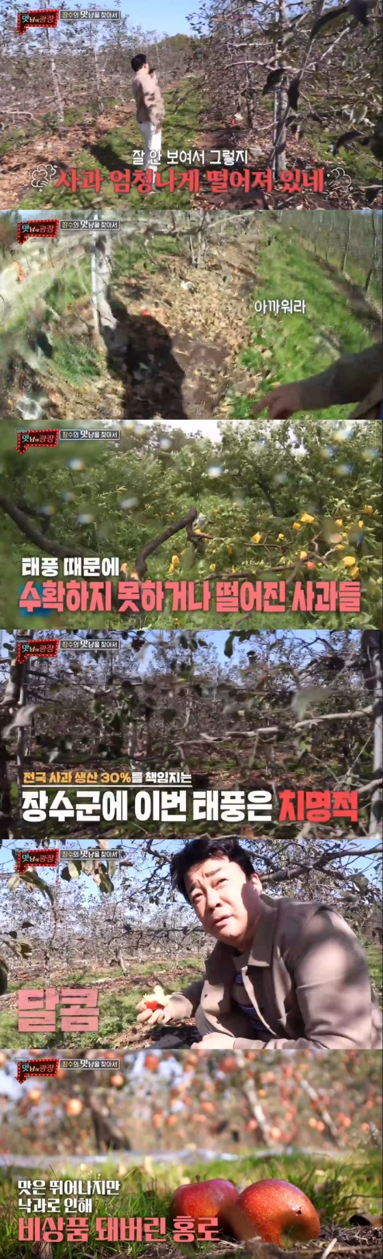 /사진=SBS 예능 프로그램 '맛남의 광장' 캡처