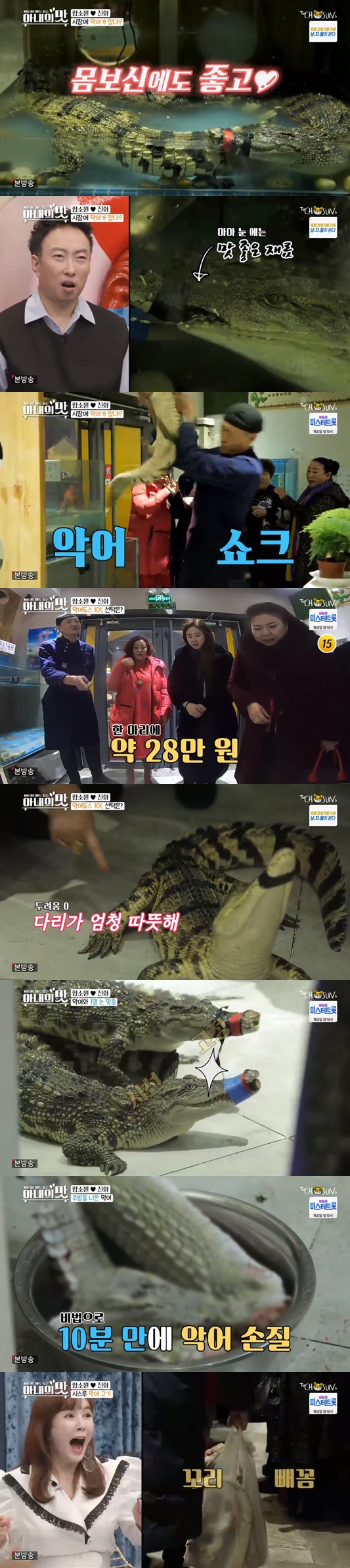 /사진=방송화면 캡처