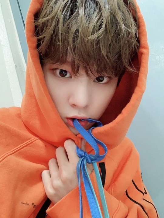 /사진=x1 트위터