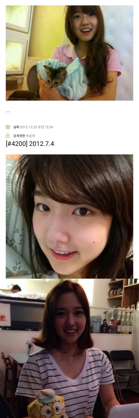 사진