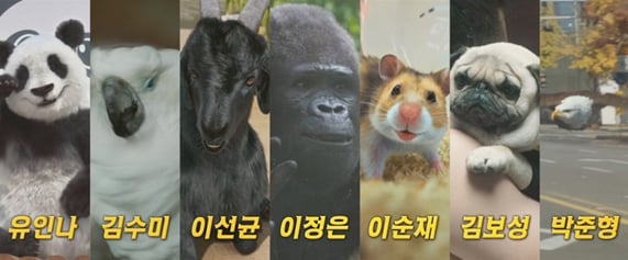 /사진제공='미스터 주'