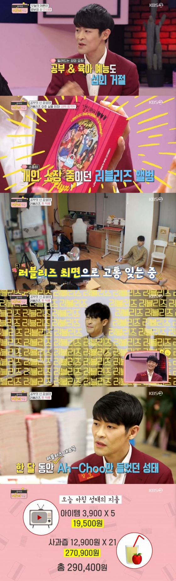 /사진=KBS 2TV 프로그램 '슬기로운 어른이 생활' 캡처