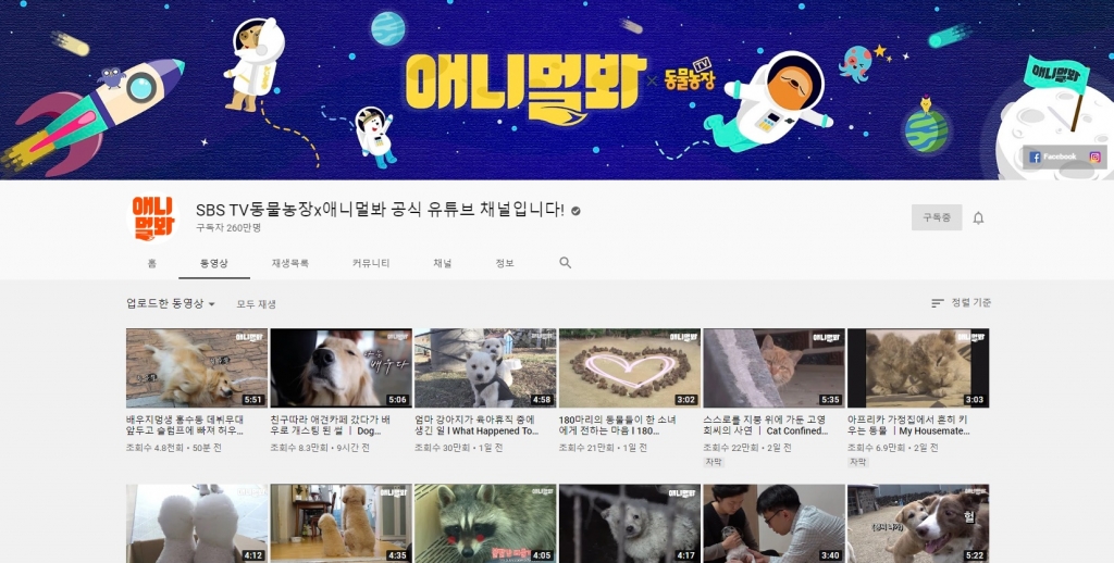 /사진=유튜브 채널 '애니멀봐' 화면 캡처