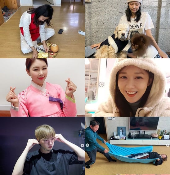 /사진=이효리(왼쪽위부터 시계방향), 제니, 장나라, 제이쓴, 강다니엘, 송가인 인스타그램