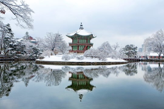 /사진제공=pixaabay