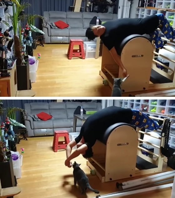 /사진=이상민 인스타그램
