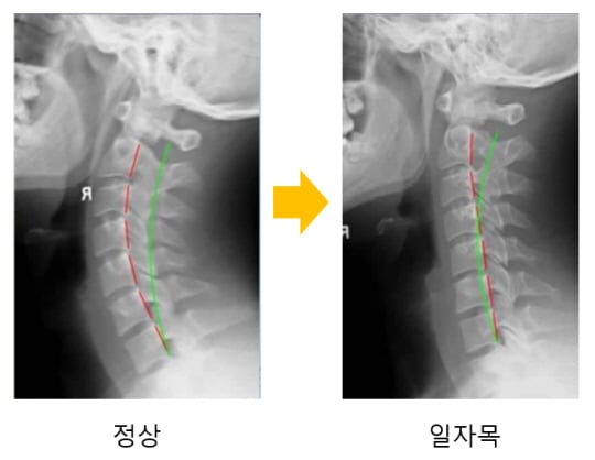 /사진제공=안산 에이스병원