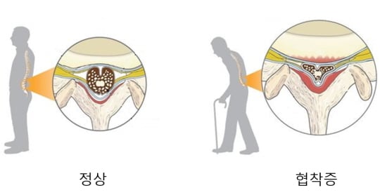 /사진제공=안산에이스병원