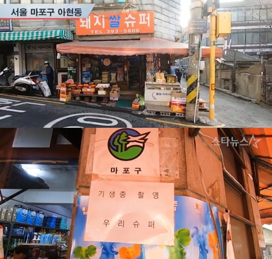 /사진=유튜브 스타플러스 화면 캡처